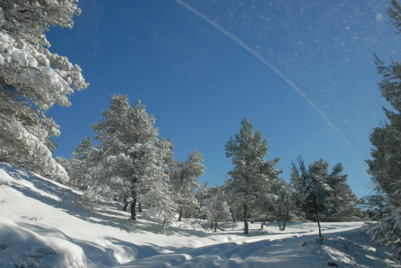 DSC_2935_resize.JPG
