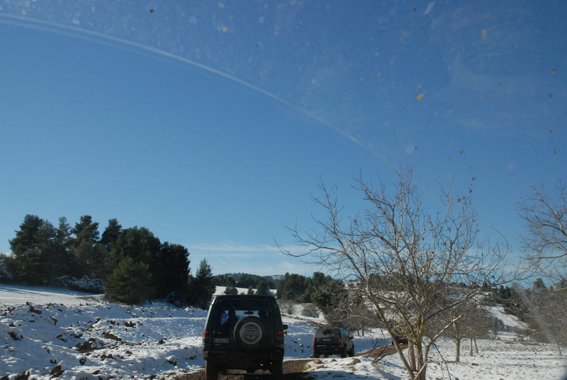 DSC_2961_resize.JPG