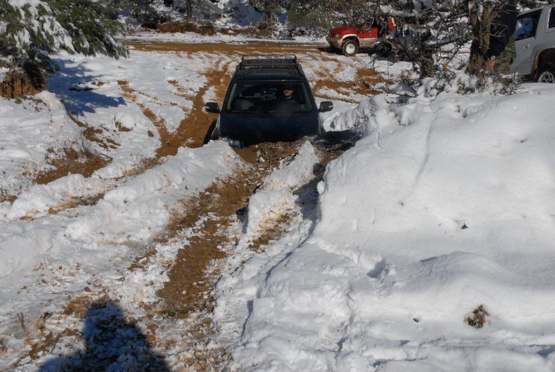 DSC_2954_resize.JPG
