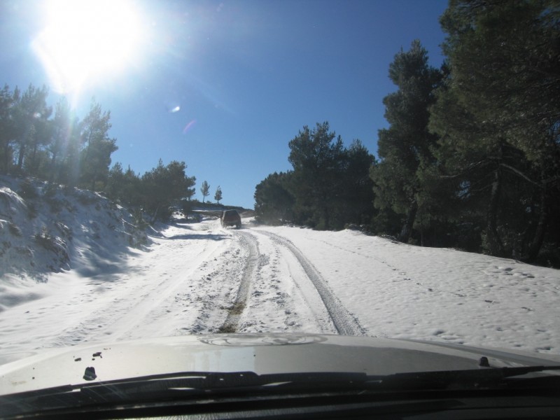 IMG_9375.jpg