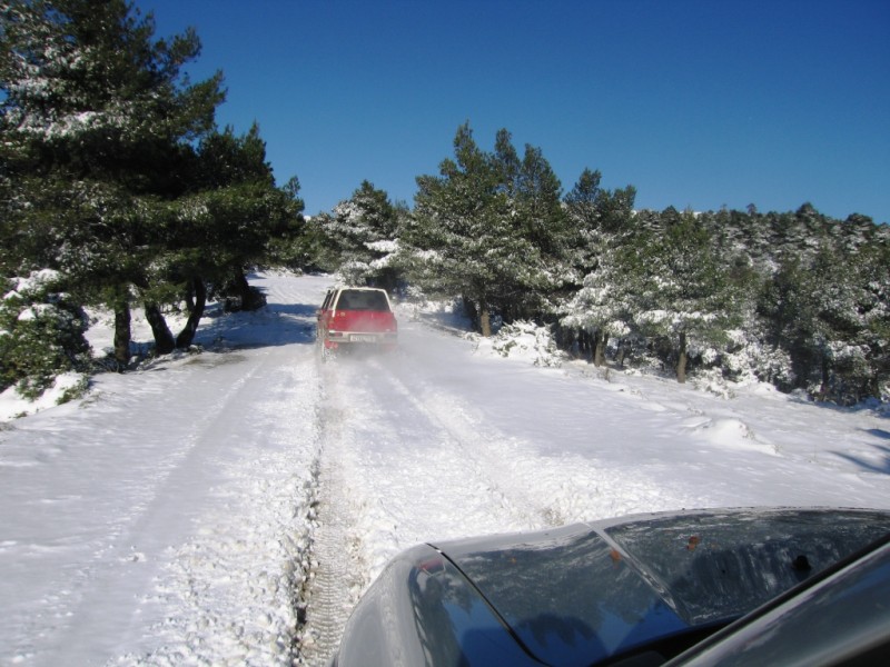 IMG_9387.jpg