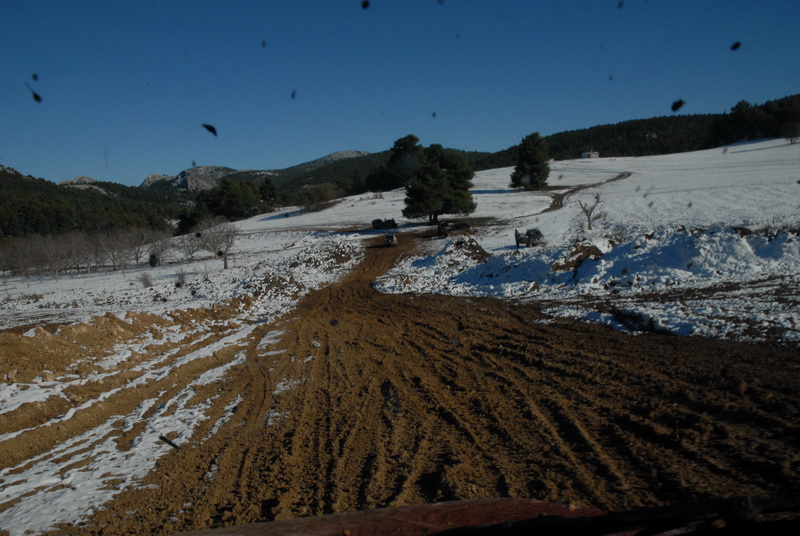 DSC_2970_resize.JPG