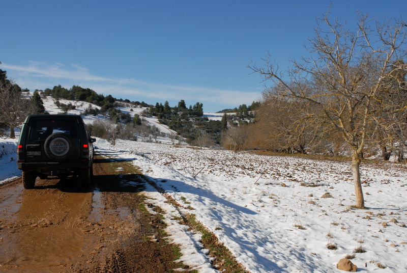 DSC_2964_resize.JPG