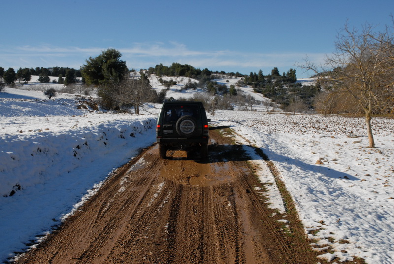 DSC_2963_resize.JPG
