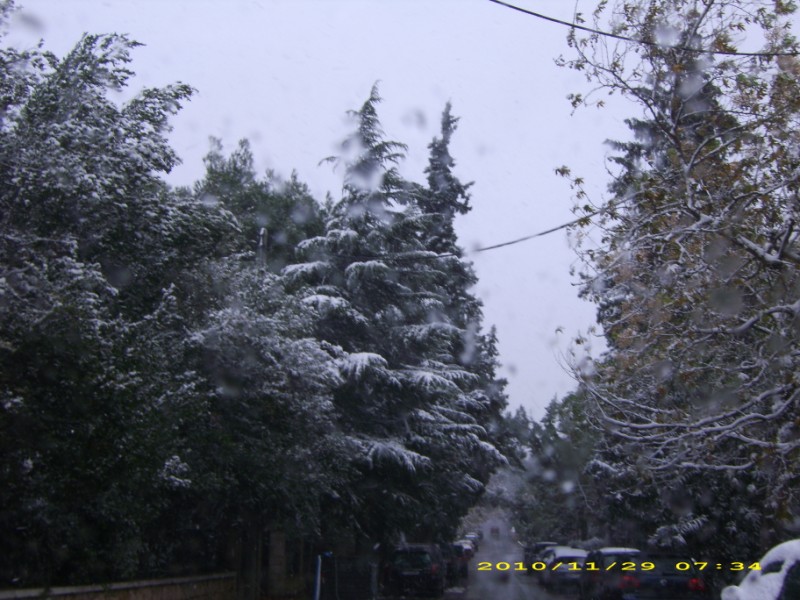 IMG_0015.jpg