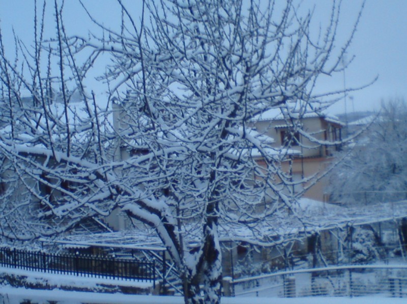 DSC00330 (1077 x 807).jpg
