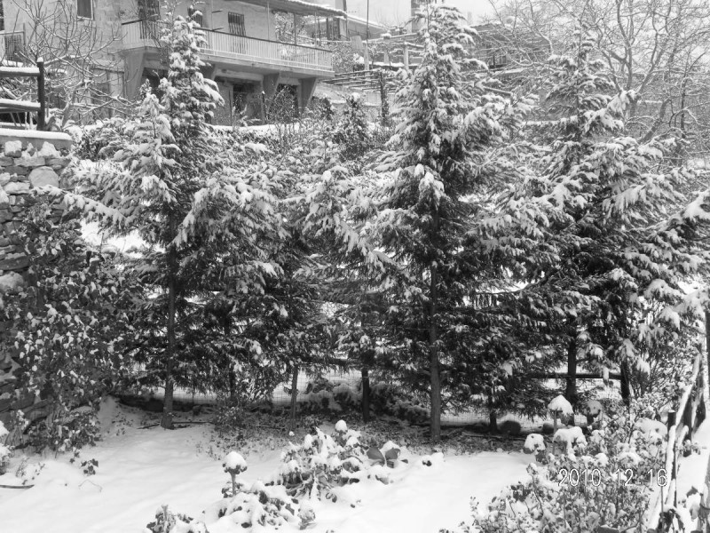 DSCN3728b.JPG