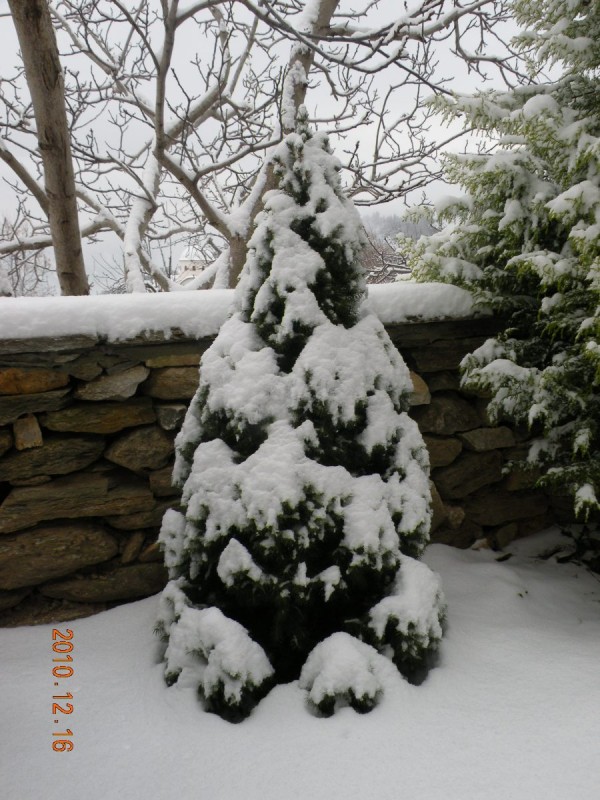 DSCN3749b.JPG