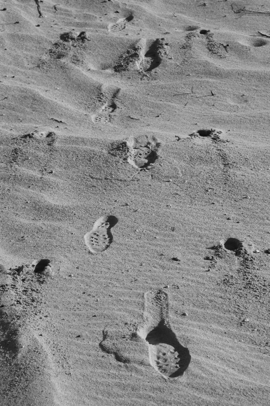2010_12_15_4380.JPG