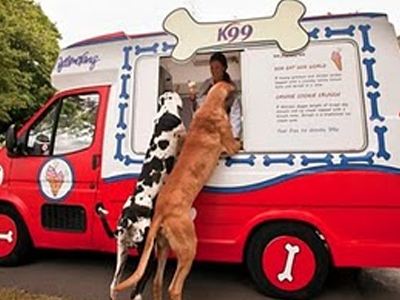 dog_icecream.jpg