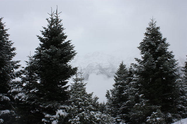 img3886po.jpg