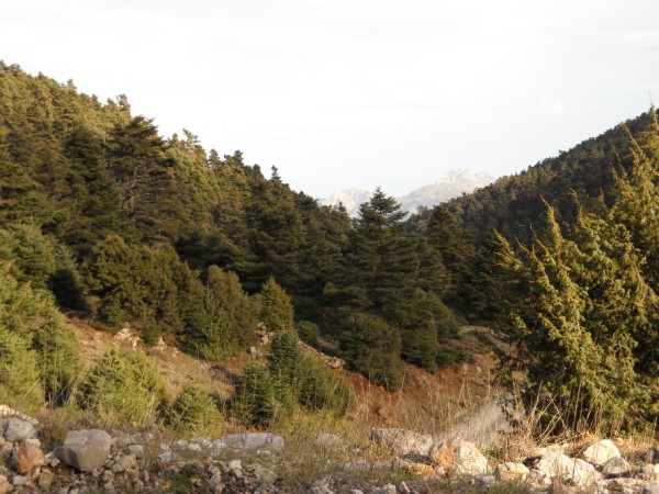 DSCN0162.jpg