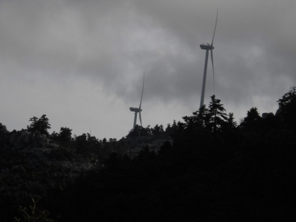 DSCN0160.jpg