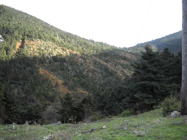 DSCN0152.jpg