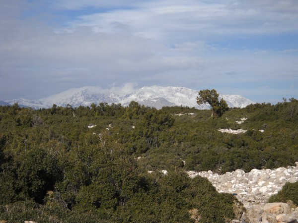 DSCN0108.jpg