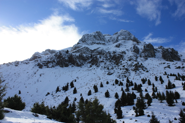 img3940i.jpg