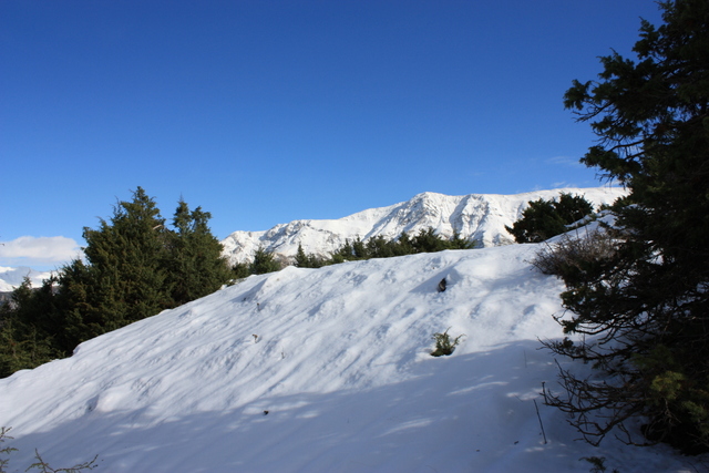 img3943e.jpg