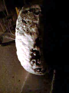 IMAG0038.jpg