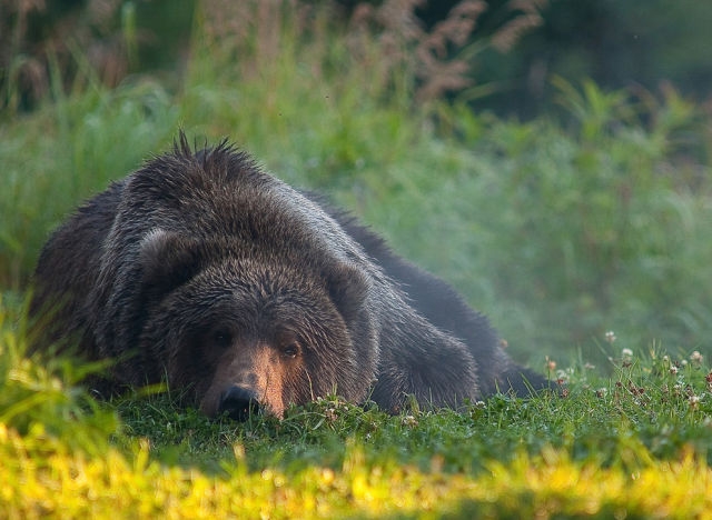 national geographic (7).jpg