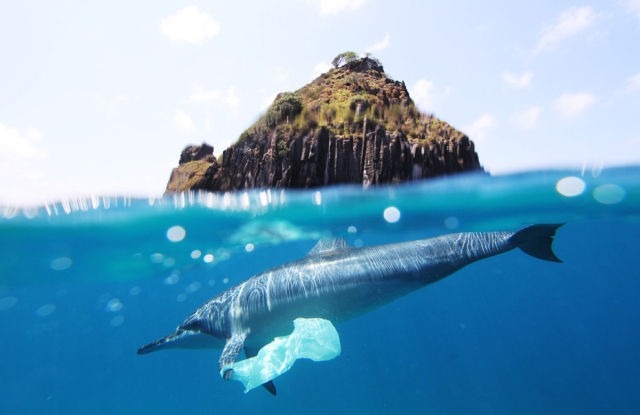 national geographic (11).jpg