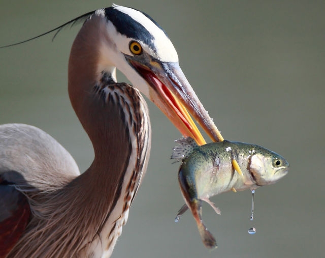 national geographic (37).jpg
