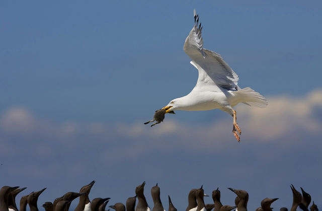 national geographic (41).jpg