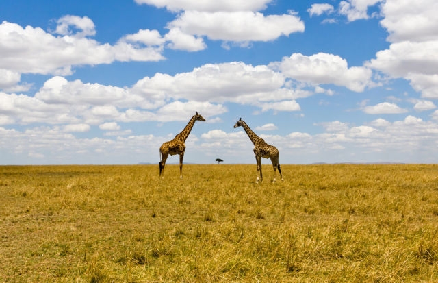 national geographic (43).jpg