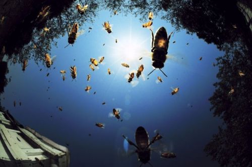 national-geographic.jpg