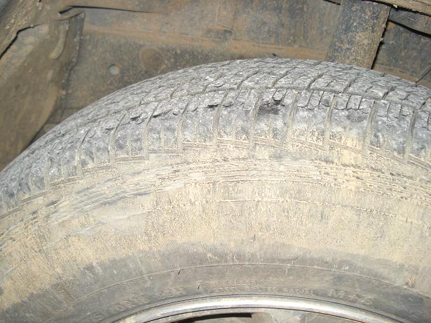 xionia2 003.jpg