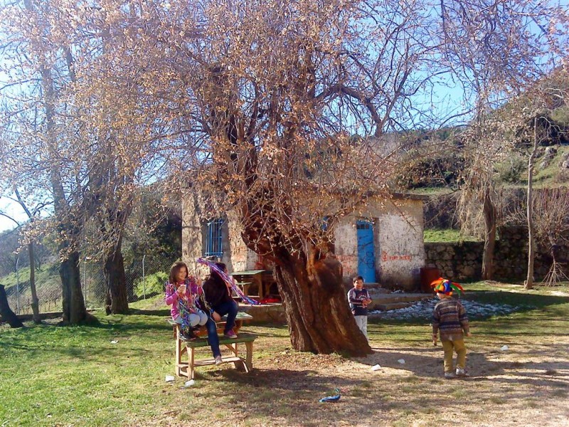 Τσικνοπέμπτη 2010 012 (Large).jpg