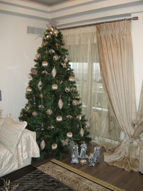 DSCN16311.jpg