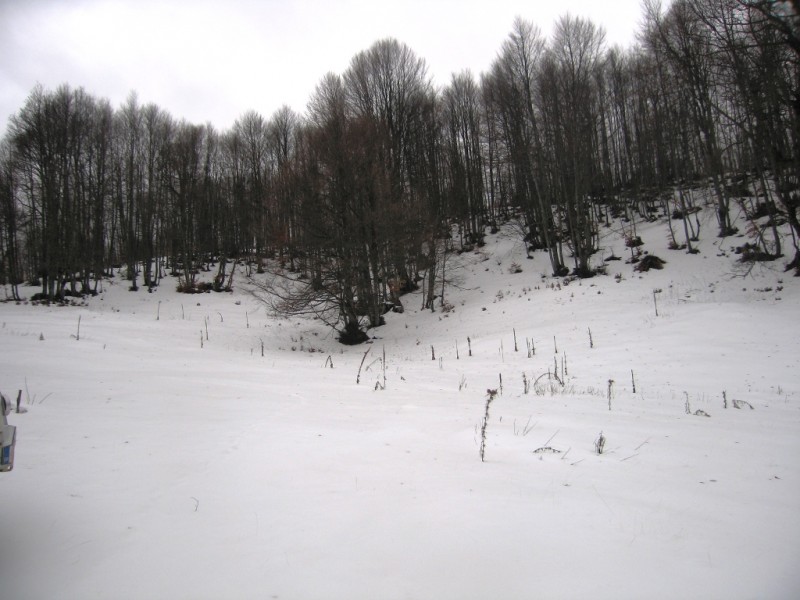 IMG_9444.jpg