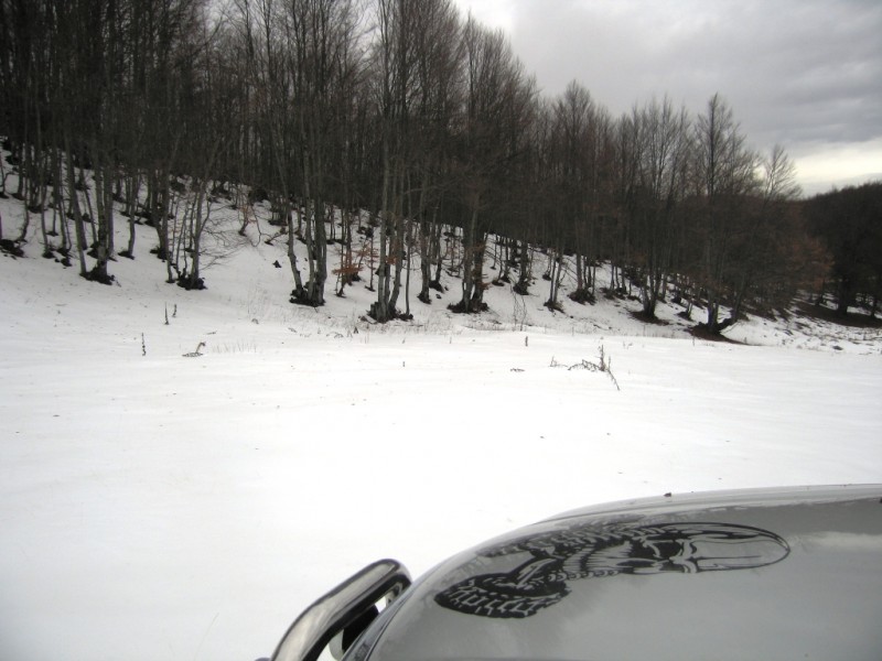 IMG_9447.jpg