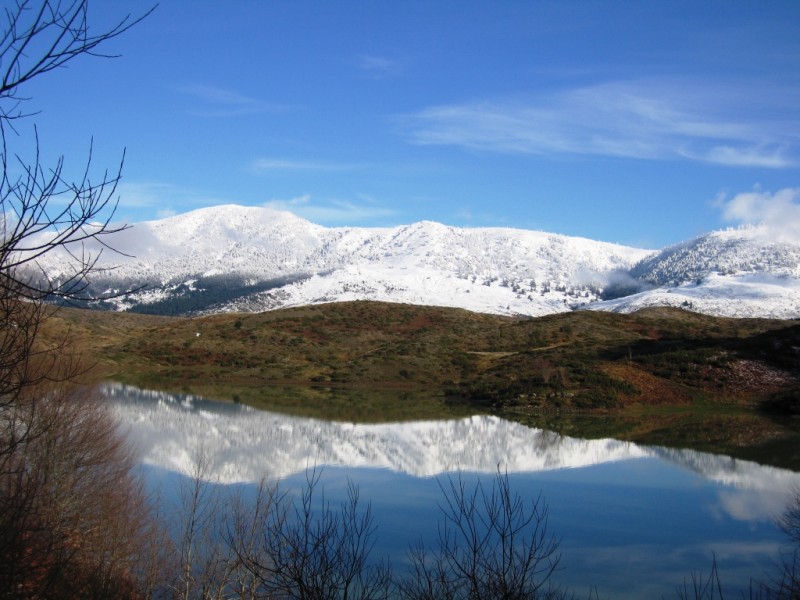 IMG_9519.jpg