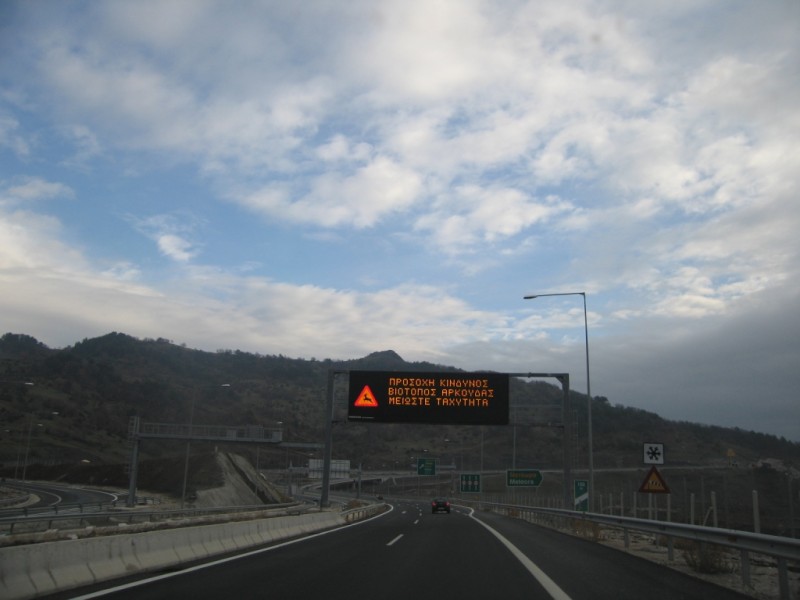 IMG_9557.jpg