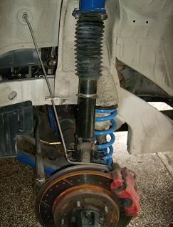 kartoula  mnimis 25102009 059.jpg