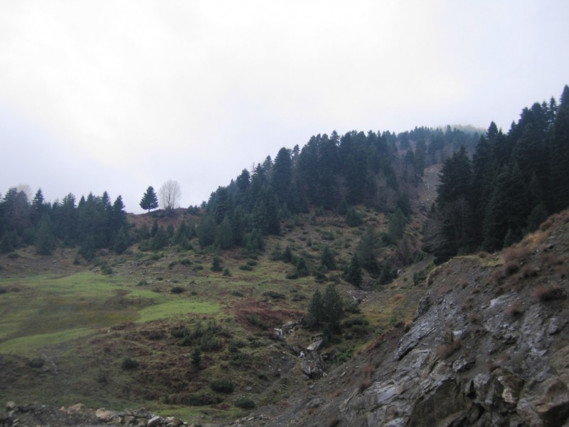 IMG_9456.jpg