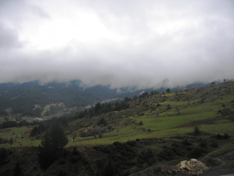 IMG_9457.jpg
