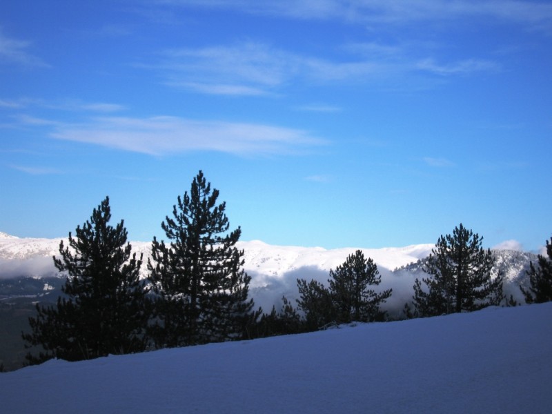 IMG_9500.jpg