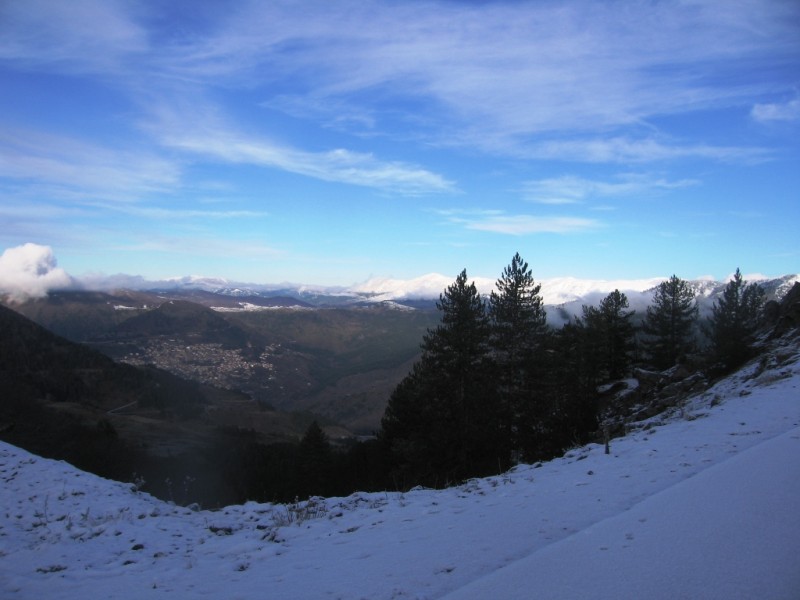 IMG_9502.jpg