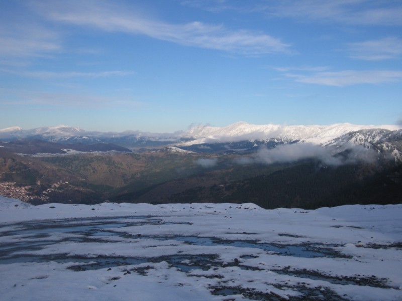 IMG_9504.jpg
