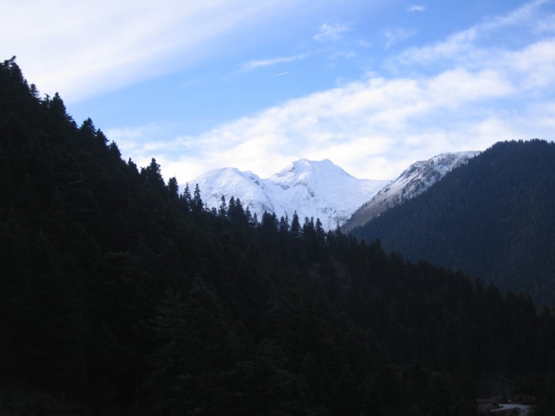 IMG_9514.jpg