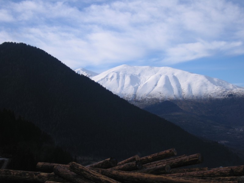 IMG_9515.jpg