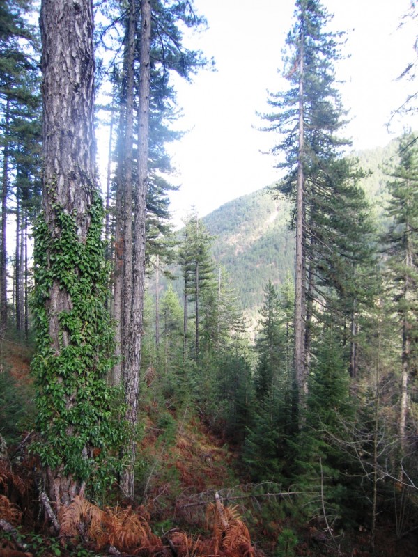 IMG_9537.jpg