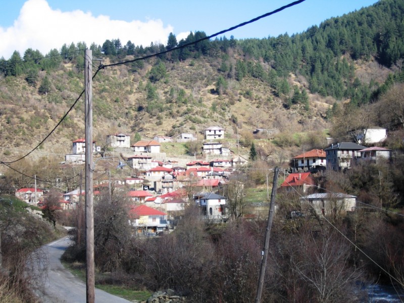 IMG_9530.jpg