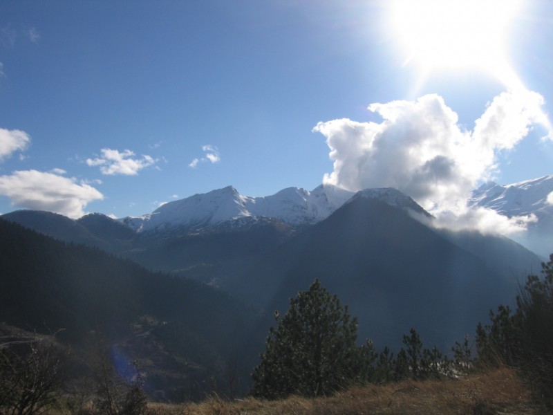 IMG_9550.jpg
