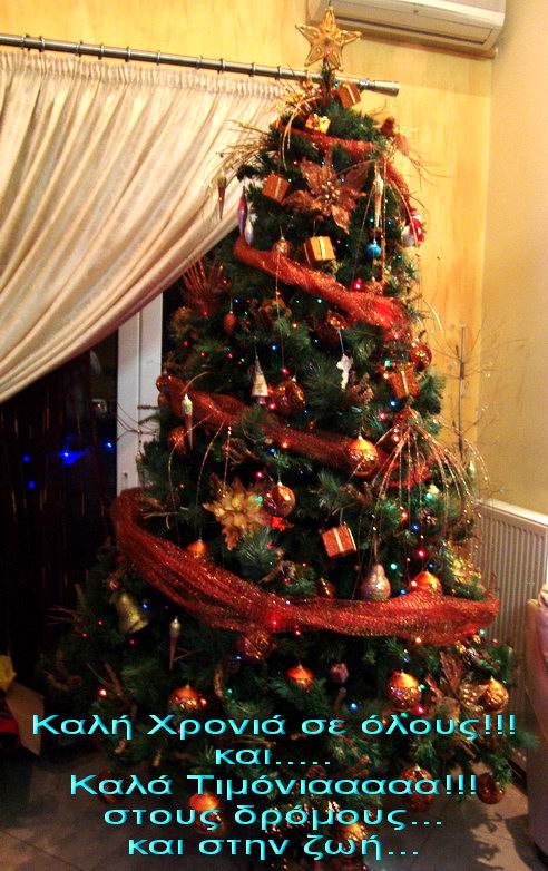 Xmas tree_DDesigner.jpg