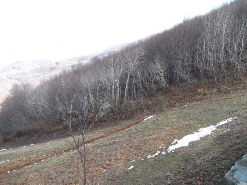 DSCF0135.jpg