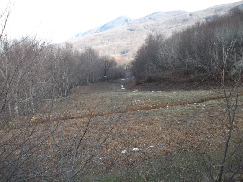 DSCF0134.jpg