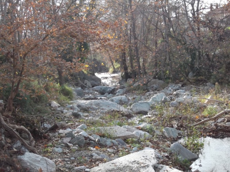 DSCF0126.jpg